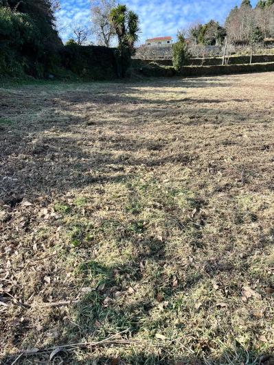 Image No.29-Ferme de 4 chambres à vendre à São Pedro do Sul