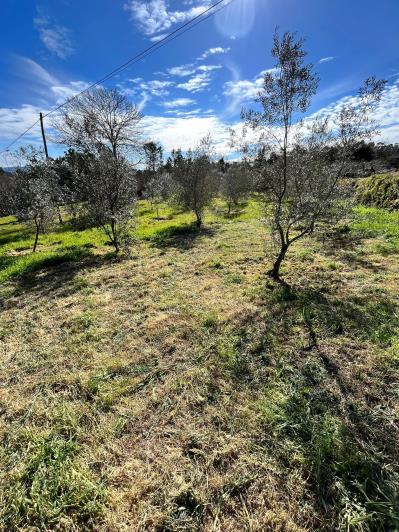 Image No.37-Ferme de 4 chambres à vendre à São Pedro do Sul