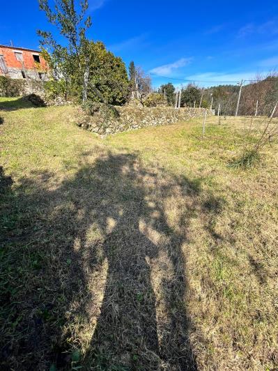 Image No.38-Ferme de 4 chambres à vendre à São Pedro do Sul
