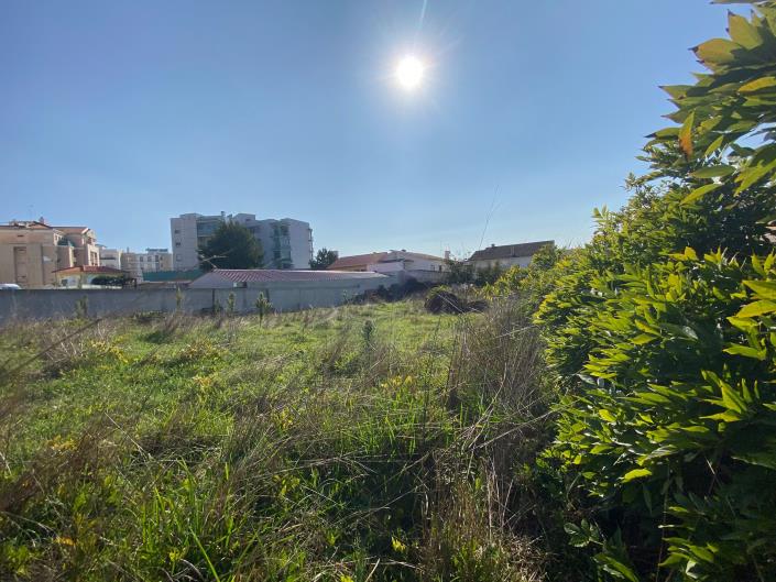 Image No.7-Terre de 3 chambres à vendre à Caldas da Rainha