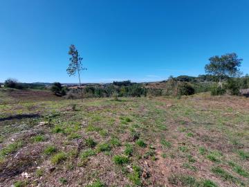 1 - Caldas da Rainha, Terre