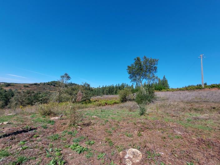 Image No.5-Land for sale