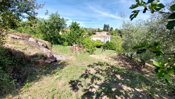 Image No.4-Land for sale