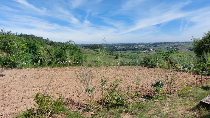 Image No.3-Land for sale