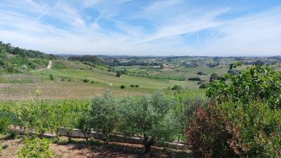 1 - Caldas da Rainha, Terre