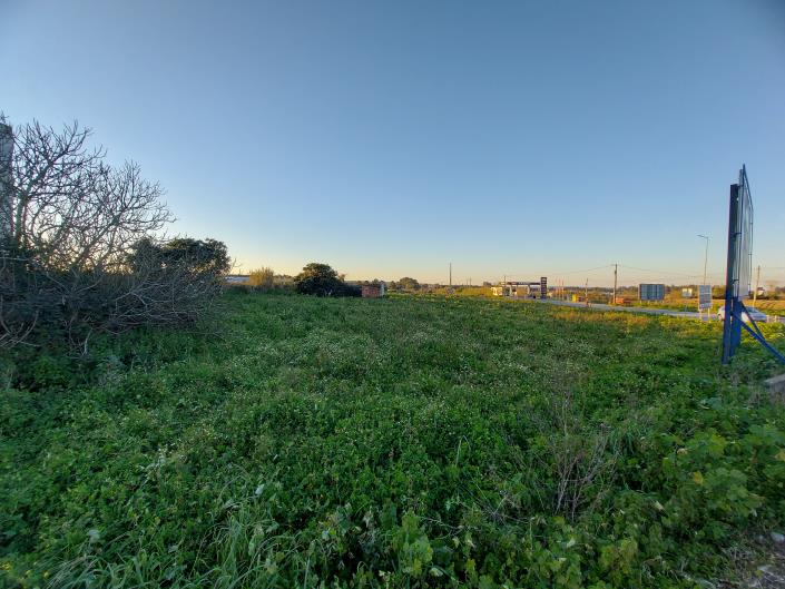 Image No.2-Terre à vendre à Caldas da Rainha