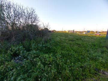 1 - Caldas da Rainha, Terre