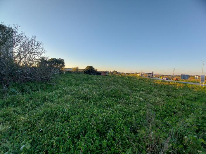 Image No.3-Terre à vendre à Caldas da Rainha