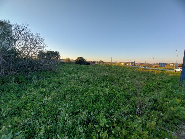 Image No.4-Terre à vendre à Caldas da Rainha