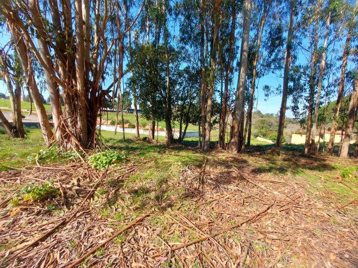 Image No.5-Plot for sale