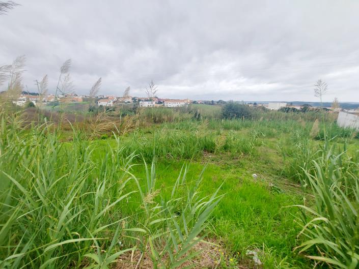 Image No.12-Land for sale