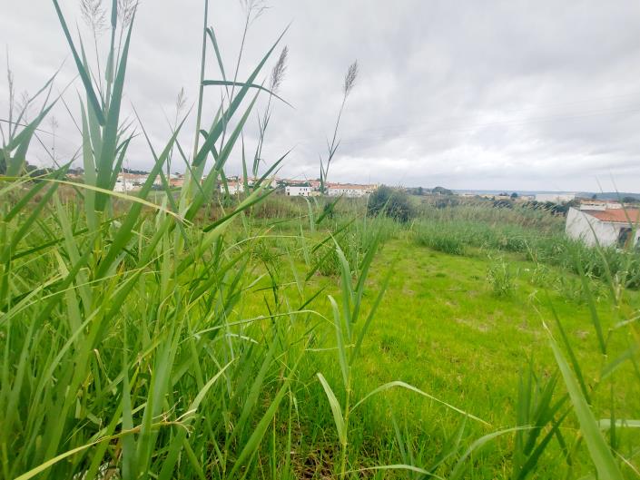 Image No.15-Land for sale