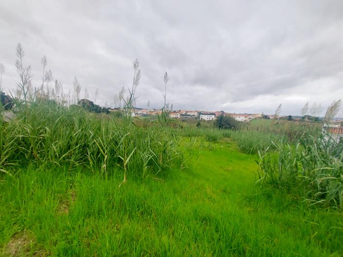 Image No.17-Land for sale