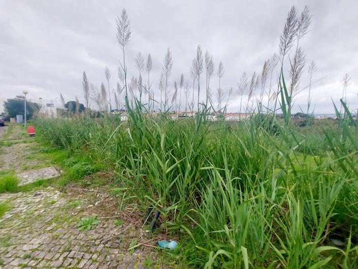 Image No.16-Land for sale