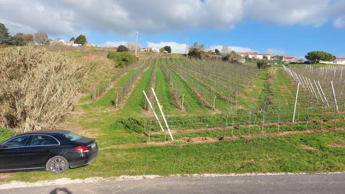 Image No.6-Land for sale