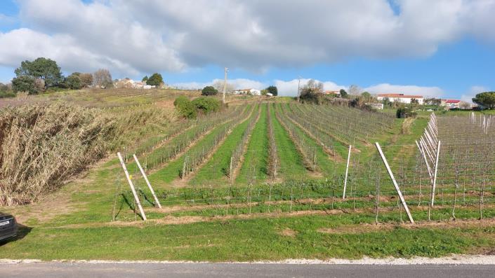 Image No.7-Land for sale