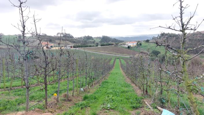 Image No.8-Land for sale