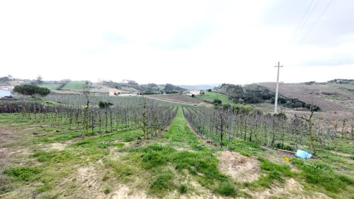 Image No.9-Land for sale