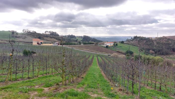 Image No.11-Land for sale