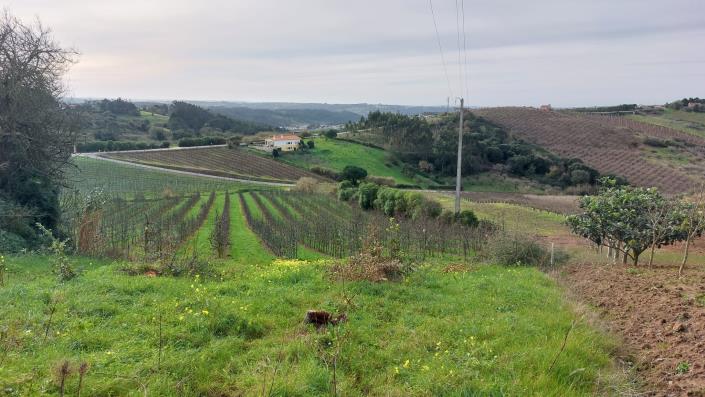 Image No.15-Land for sale