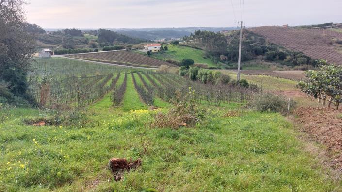 Image No.17-Land for sale