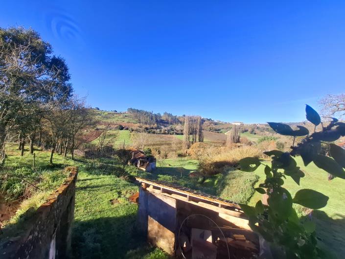 Image No.3-Propriété de 3 chambres à vendre à Alcobaça