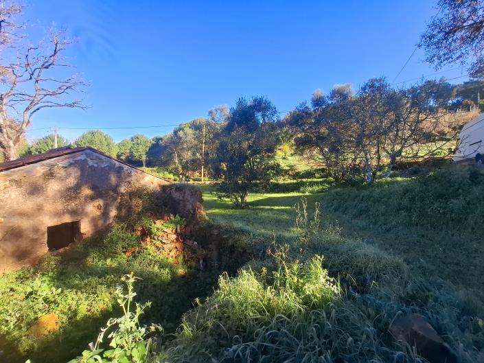 Image No.20-Propriété de 3 chambres à vendre à Alcobaça