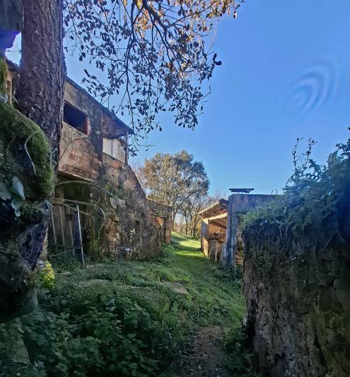 Image No.29-Propriété de 3 chambres à vendre à Alcobaça