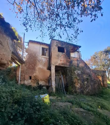 Image No.30-Propriété de 3 chambres à vendre à Alcobaça
