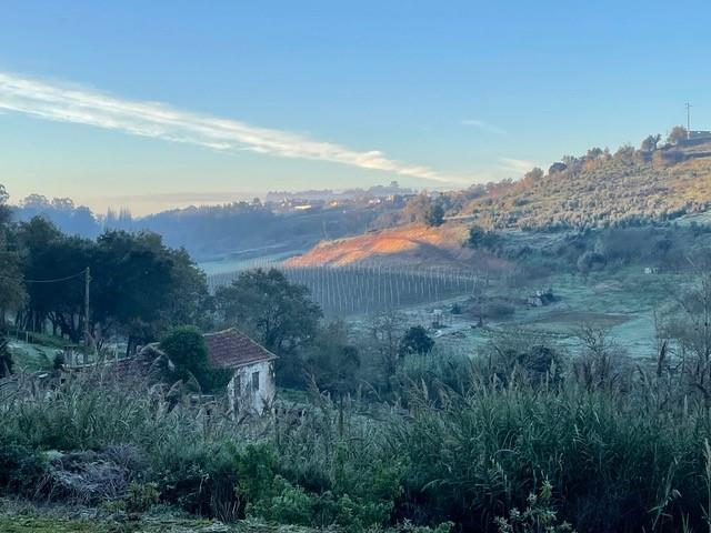Image No.5-Propriété de 3 chambres à vendre à Alcobaça
