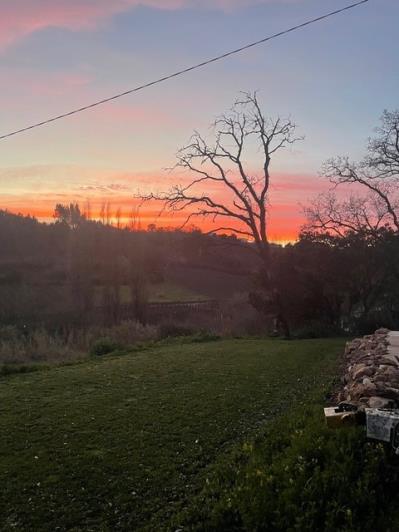 Image No.4-Propriété de 3 chambres à vendre à Alcobaça