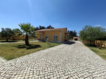 20250826_121746_resized