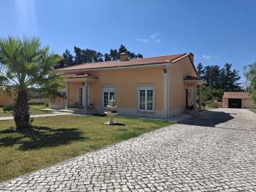 20250826_121740_resized