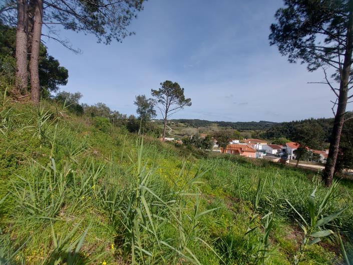 Image No.4-Plot for sale