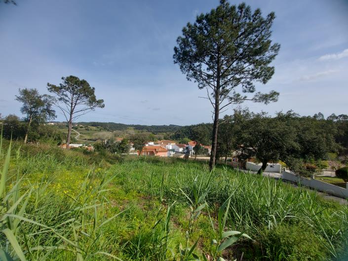 Image No.5-Plot for sale