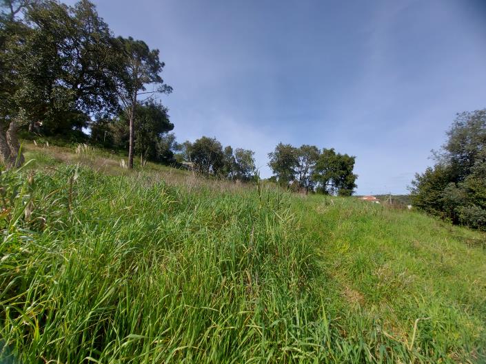 Image No.2-Terre à vendre à Caldas da Rainha
