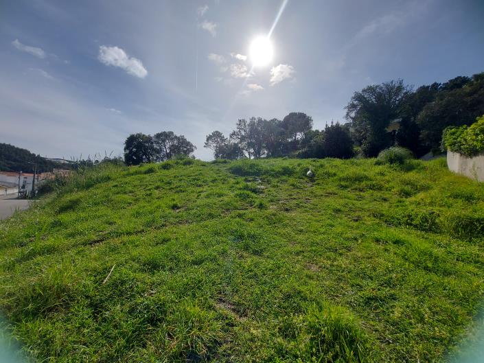 Image No.4-Terre à vendre à Caldas da Rainha