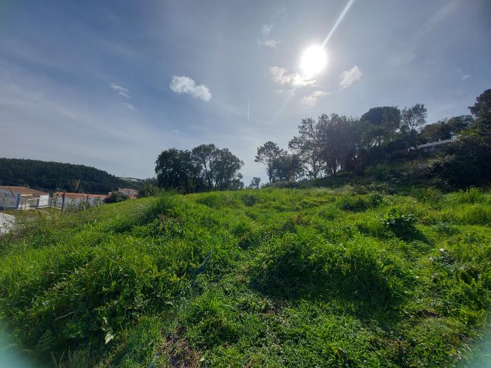 Image No.6-Terre à vendre à Caldas da Rainha