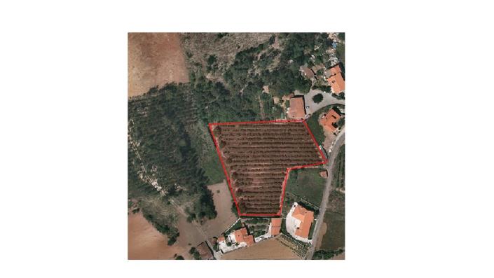 Image No.6-Terre à vendre à Caldas da Rainha