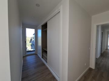 20250721_180324_resized_2