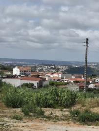 20250723_115414_resized