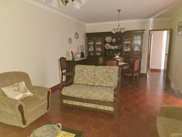 20250728_151055_resized