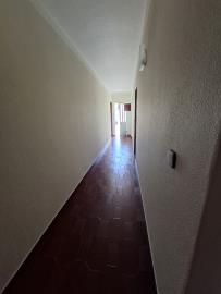 20250728_151254_resized