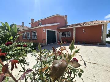 20250821_120539_resized