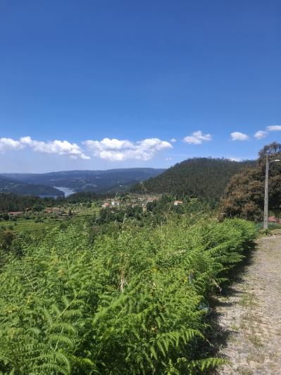 Image No.6-Ferme de 3 chambres à vendre à São Pedro do Sul