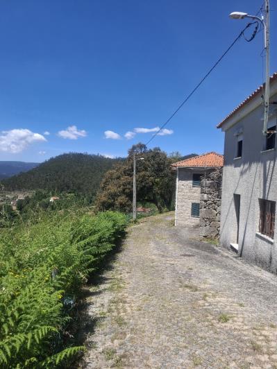 Image No.2-Ferme de 3 chambres à vendre à São Pedro do Sul