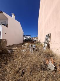 20250901_163555_resized