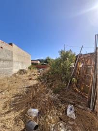 20250901_163630_resized_1