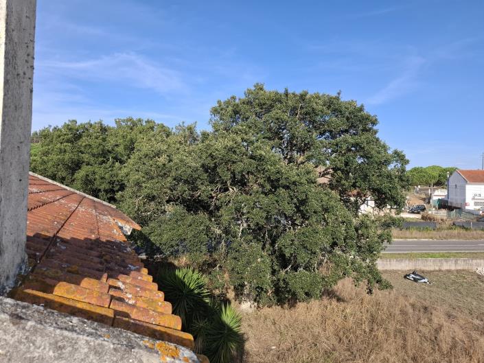 Image No.43-Maison / Villa de 3 chambres à vendre à Obidos