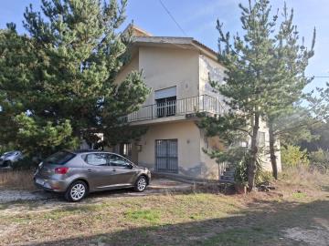 20251014_165510_resized